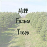 Hill Farm Trees