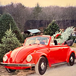 Some customers with a tree in their car